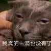 自摸十三郎