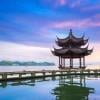 香樟树