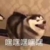 潮汛汹涌