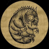 WaterBear