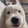 SANSHIRO