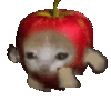 VincenTan