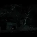 迪纳