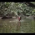 尼尔森·卡马约