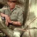 Donald Hewlett