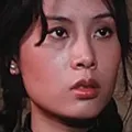 黄淑仪