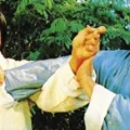 田俊