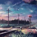 斯科特·迈尔斯