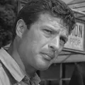 Sheridan Comerate