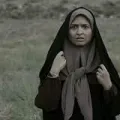 Gelareh Abbassi