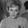 Nan Peterson