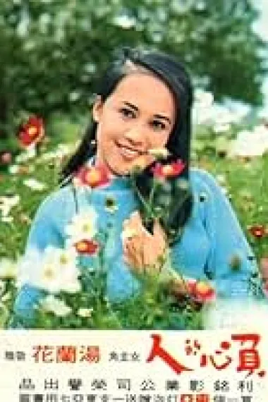 汤兰花