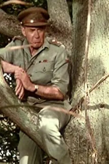Donald Hewlett