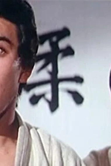 龙冠武