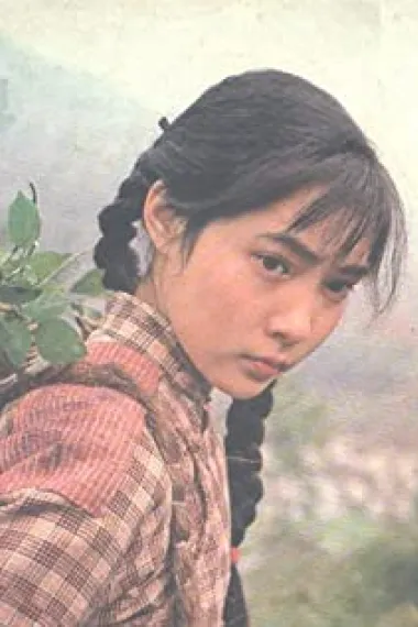 沈丹萍