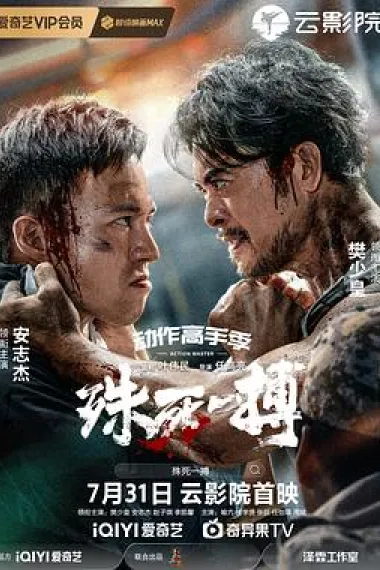 殊死一搏 2160P 4K 杜比视界 下载