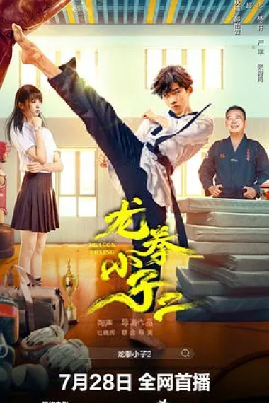 龙拳小子2 下载