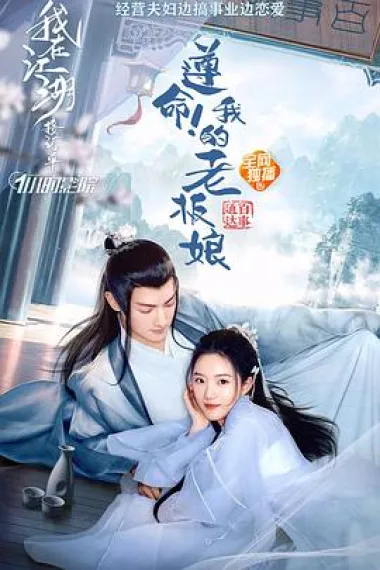 遵命！我的老板娘 下载