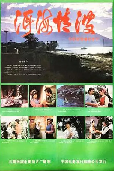 洱海情波 下载