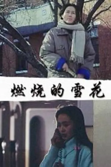 燃烧的雪花 下载
