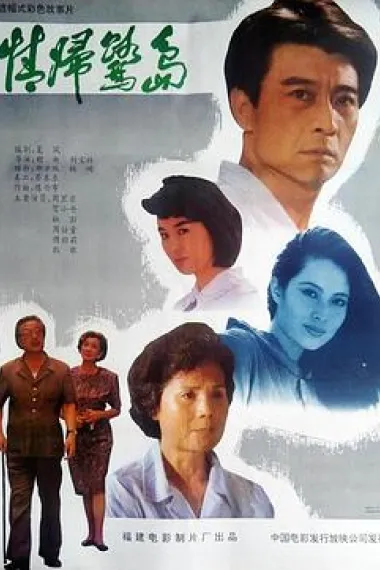 情归鹭岛 下载