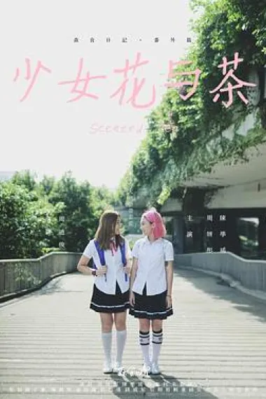 少女花与茶 下载