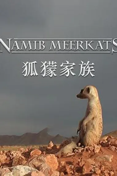 狐獴家族 下载