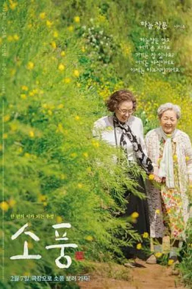 郊游 下载