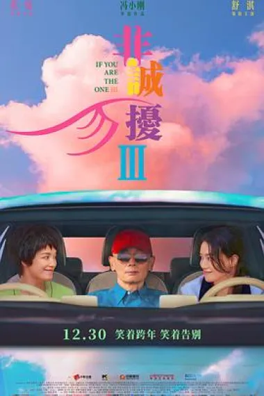非诚勿扰3 2160P 4K 杜比视界 下载