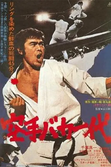 空手道人生 下载