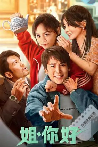姐，你好 2160P 4K 下载