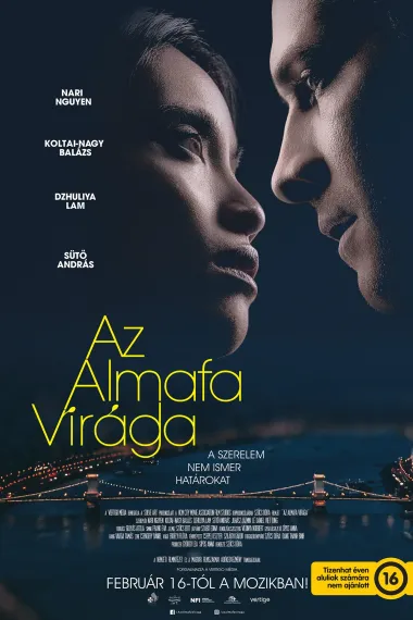 Az almafa virága 下载