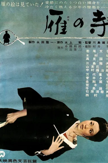 雁之寺 下载