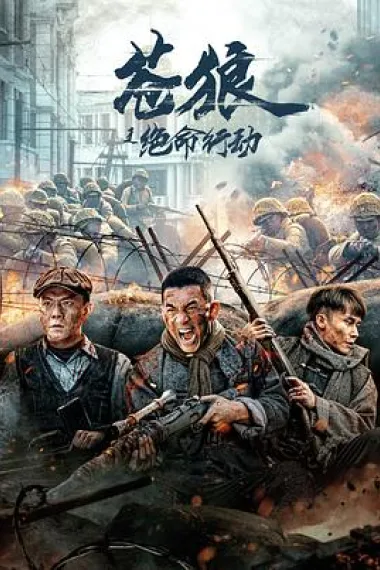 苍狼之绝命行动 2160P 4K 下载