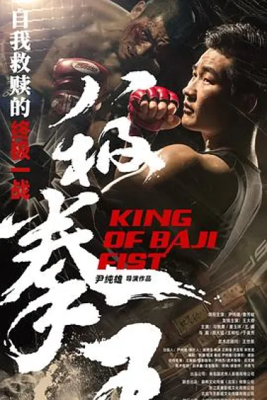 八极拳王 2160P 4K 下载