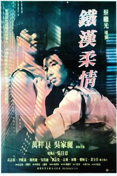 铁汉柔情 2160P 4K 下载