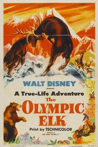The Olympic Elk 下载