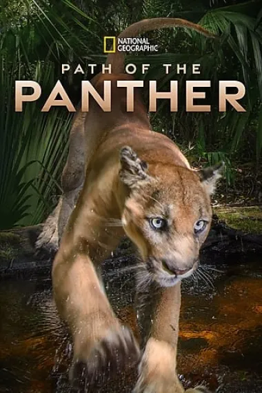 Path Of The Panther 下载