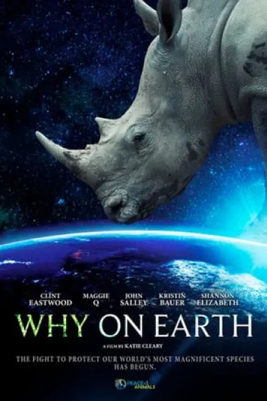 Why on Earth 下载
