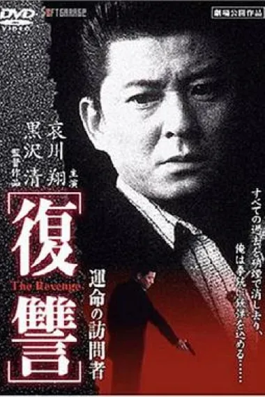 复仇:命运的访问者 下载