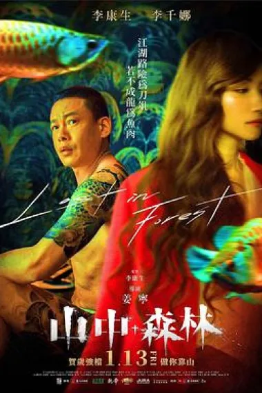 山中森林 下载