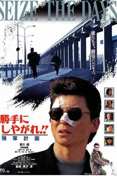 为所欲为:强夺计划 下载