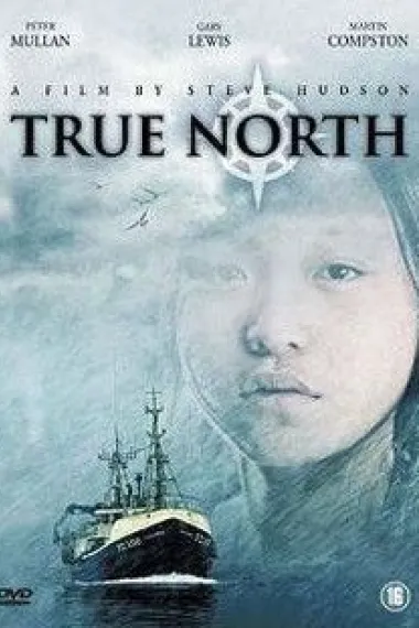 True North 下载