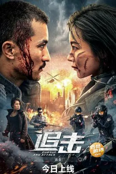 追击 2160P 4K 下载