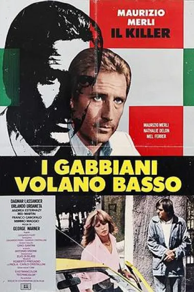 I gabbiani volano basso 下载