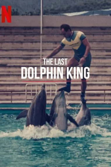 ¿Qué le pasó al rey de los delfines? 下载