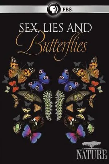 Sex, Lies and Butterflies 下载
