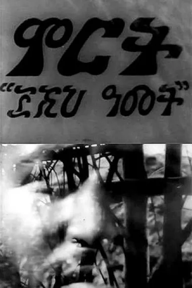 收获3000年 下载