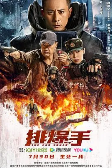 排爆手 2160P 4K 下载