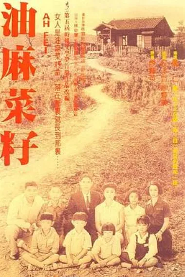 油麻菜籽 下载
